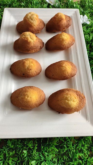 Madeleines citron lots par 8