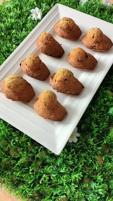 Madeleines pépite chocolat lots par 8